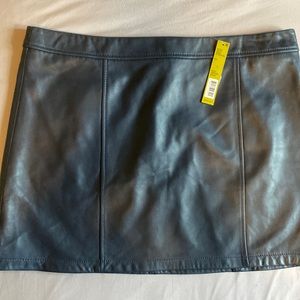 XL leather, dark blue Gianni Bini skirt. Brand new, tag says 169$.